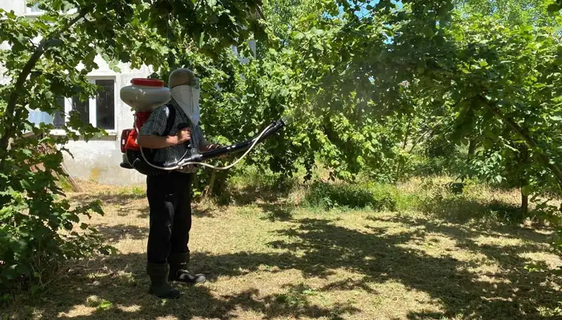 Çiftçilerin Umut Kaynağı: Kükürt ve Samuray Arısı İşbirliği