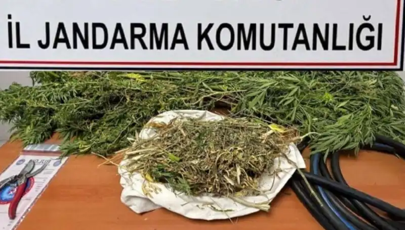 Niğde'de İkisi Kadın, Üç Uyuşturucu Taciri Yakalandı