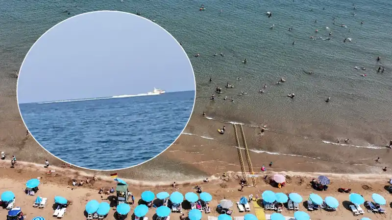 Plajda Köpek Balığı Korkusu: Sahil Hızla Boşaltıldı, Gerçek Şaşırttı