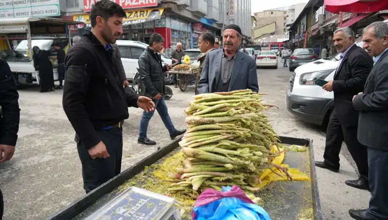 Şeker Otu: Doğadan Kanser ve Mide Hastalıklarına Şifa, Pazarın Gözdesi!