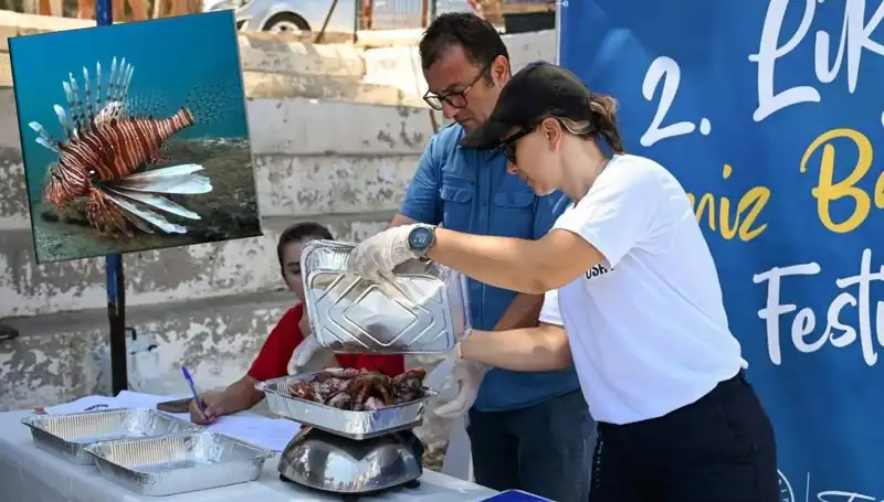 Antalya'da İstilacı Aslan Balığı Avlama Yarışması: Rekabet ve Eğlencenin Buluşma Noktası