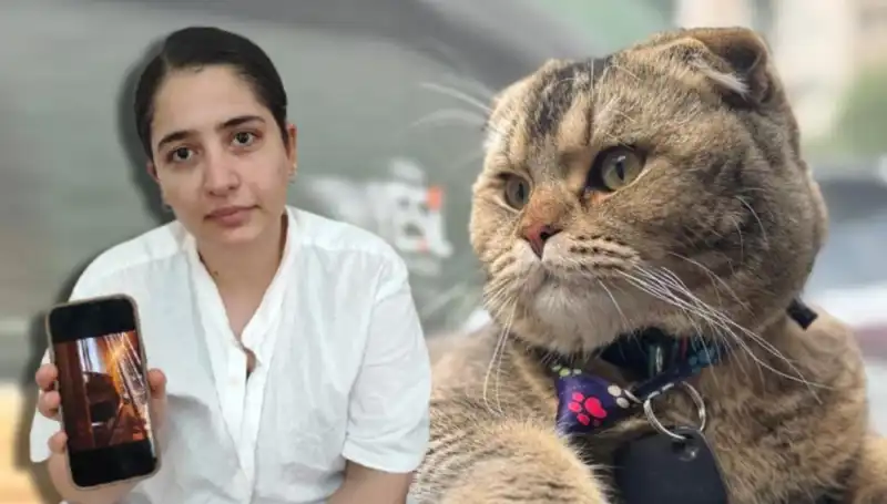 Evlilikte Kedi Faktörü: "Eşim Beni Boşayacak" İtirafı