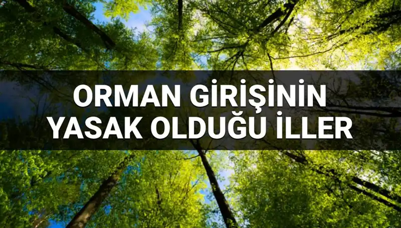 Türkiye'nin Hangi İlleri Orman Girişine Yasak Getirdi? 2025'te Değişimler Neler?