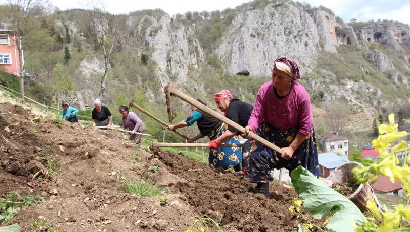 Zorlu Mesai Başladı: Sırtlarda Sepetler, Ellerinde Kazmalar, İşte Gerçekler!
