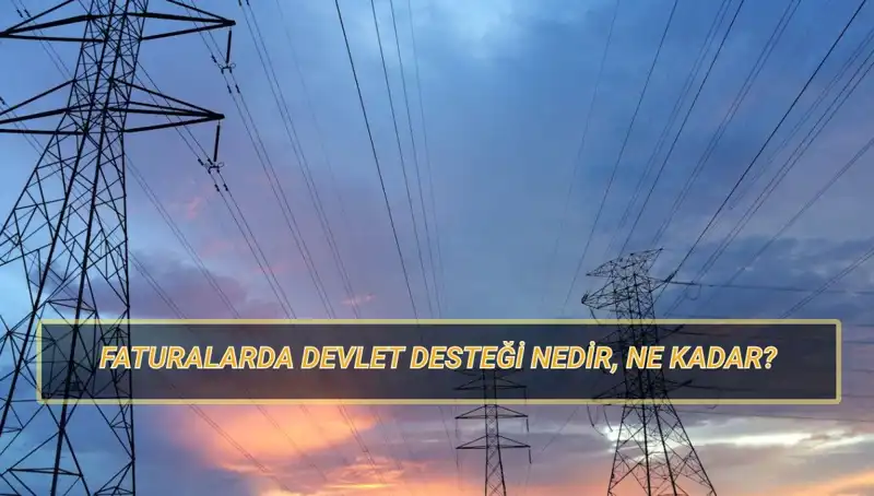 2025'te Doğalgaz ve Elektrik Faturaları İçin Devlet Desteği Nasıl Alınır?