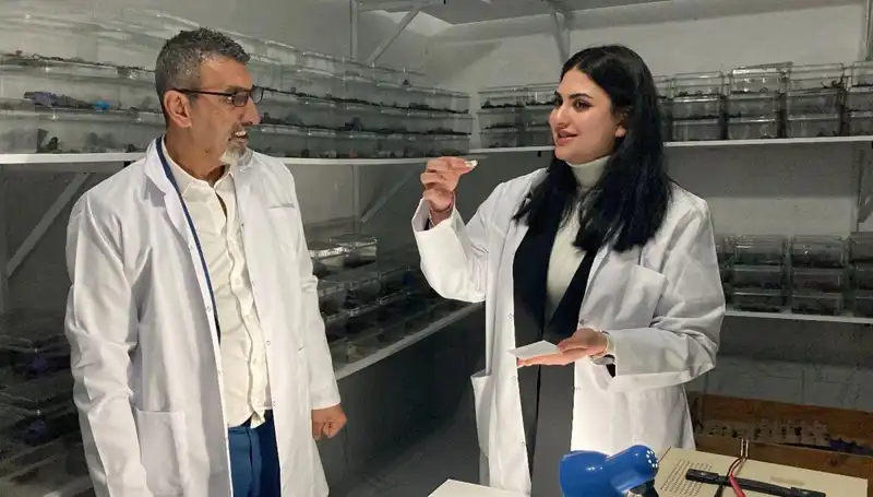 Akrep Zehri ile Şekerin Eşsiz Buluşması: Sağlık Mucizesi mi?
