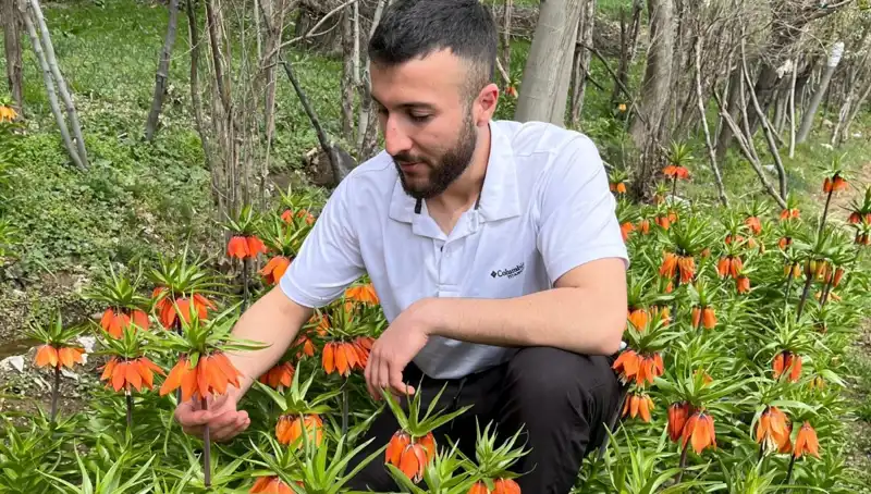 Ağlayan Gelin: Ömrü 20 Gün, Kopartmanın Cezası 244 Bin Lira!