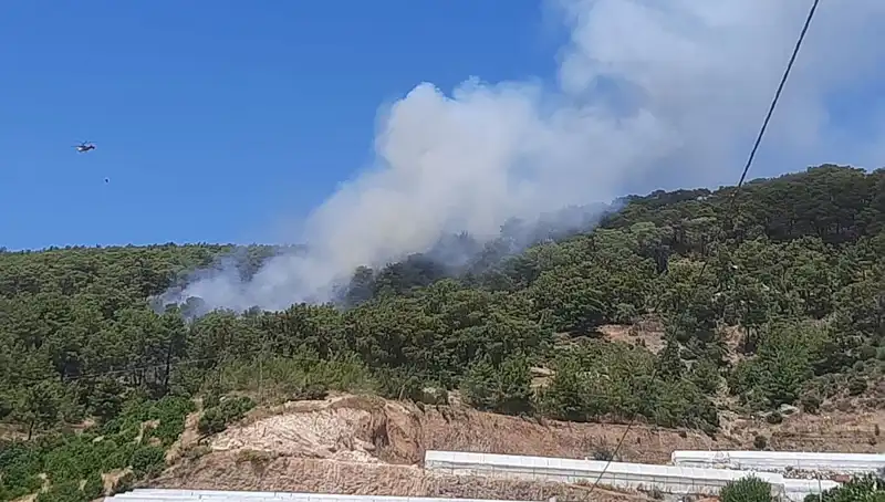 Kumluca'da Yangın Alarmı: Ormanlık Alan Alev Alev!