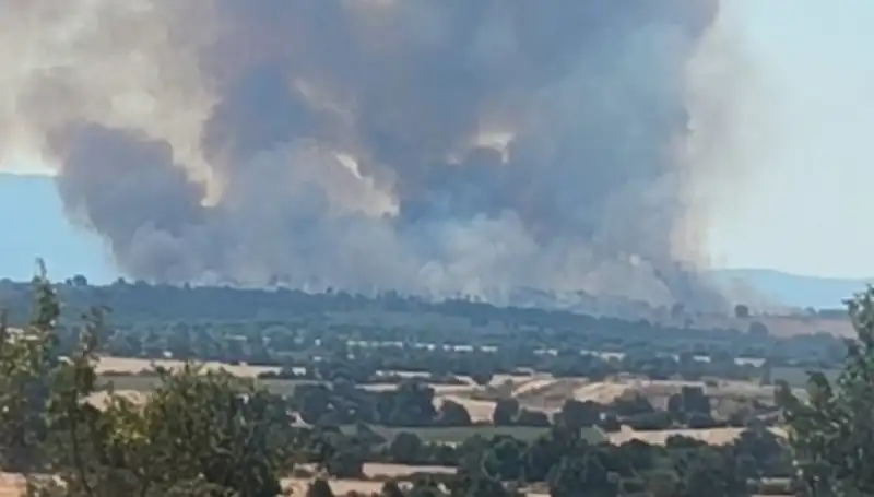 Edirne'de Orman Yangını Alarm Verdi: Sorunlu Durum Nedenleri ve Çözüm Yolları