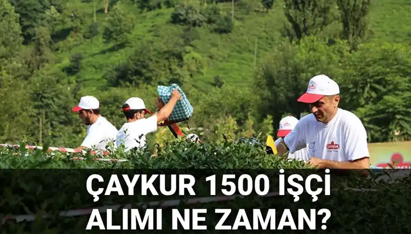 Çaykur İşçi Alımı: Başvuru Tarihleri ve Süreçteki Son Gelişmeler