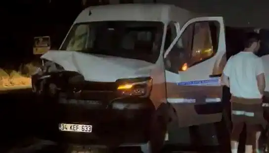 İstanbul’da Manda Kazası: Üç Kişi Yaralandı, Olayın Detayları Şok Edici