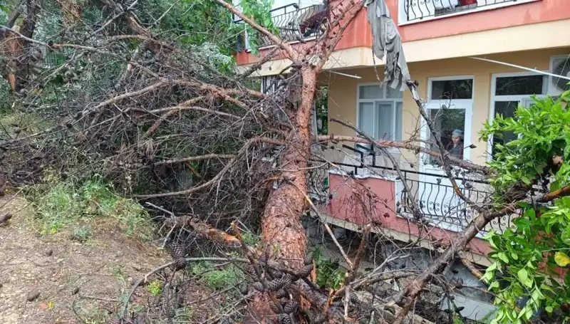 Yağmura Dayanamayan Bina Devrildi: Olay Anı ve Sonrasındaki Panik