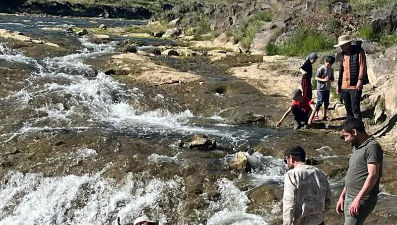 İnci Kefalinin Olağanüstü Göçü: Gözlerinizi Alamayacağınız Bir Doğa Harikası