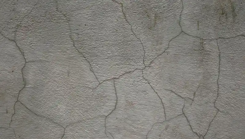 Canlı Beton İcadı: İnşaat Dünyasında Devrim Yaratacak Yenilik