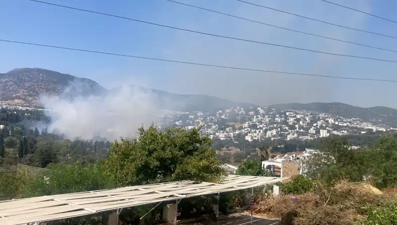 Muğla'daki Orman Yangınları Kontrol Altına Alındı, Durum Nedir?