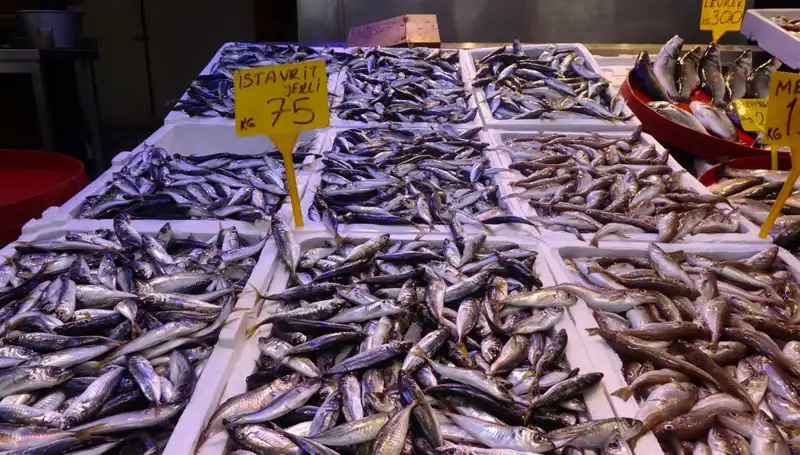 Balık Sezonu Kapanıyor: Yeni Dönemde Neler Bekleniyor?
