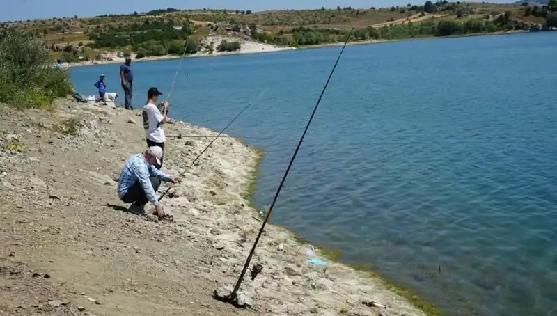 Baraja Koşan Halkın Sebebi: Kafeslerdeki Tuzak Patladı!