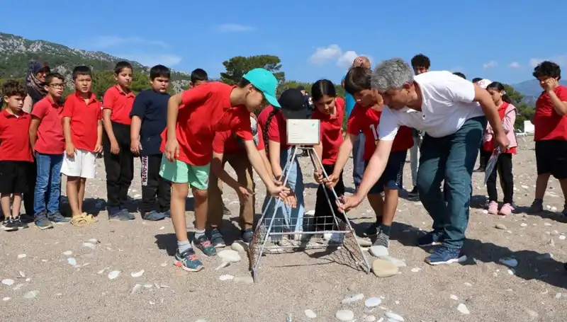 Kemer'de Caretta Caretta Koruma Yasakları Başladı, Çevre Duyarlılığı Artıyor