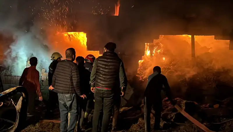 Bolu'da Akılalmaz Yangın: Ahır Sırasında Gerçekleşen Felaket