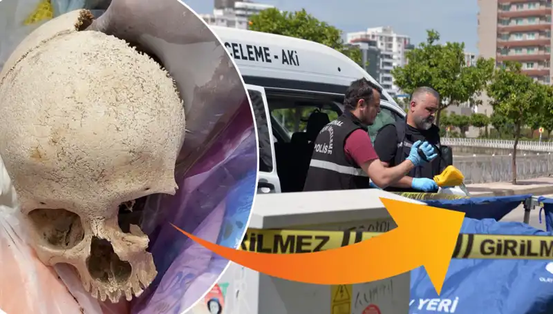 Çöp Yığınından Çıkan Kafatasının Gizemi: Uzman Doktor İfadesiyle Şaşırttı!