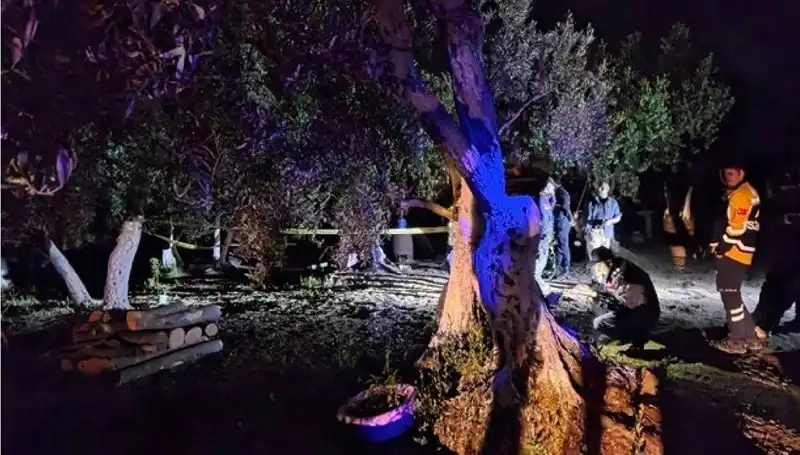 Çiftlikteki Baltalı Vahşet Olayında İlk Tutuklama Gerçekleşti!