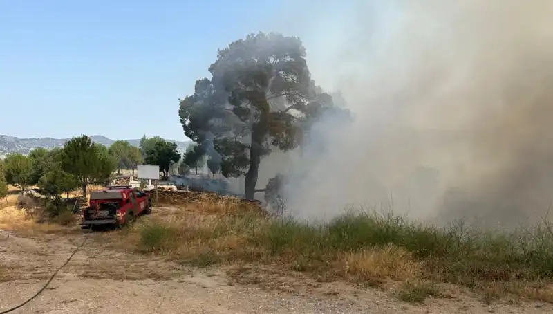 Muğla’nın Gökova'sında Dev Yangın: Sönmeyen Küller ve Orman Kaybı