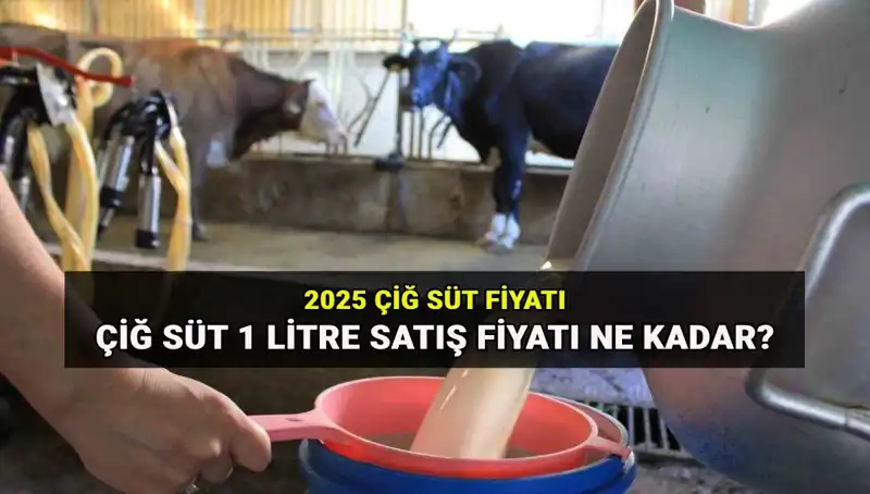 Çiğ Süt Fiyatları 2025'te Ne Olacak? Ulusal Süt Konseyi Açıklıyor!