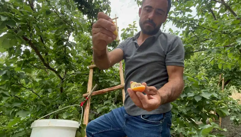 50 TL ile 70 TL Arasında: Tadı Damağınızda Kalacak Lezzetlerin İncelemesi