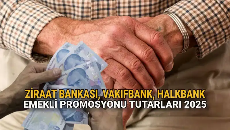 2025 Yılında Kamu Bankaları Emekli Promosyonları Ne Kadar Olacak?