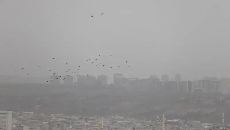 Şanlıurfa'da Akılalmaz Toz Fırtınası: Kent Adeta Görünmez Oldu!