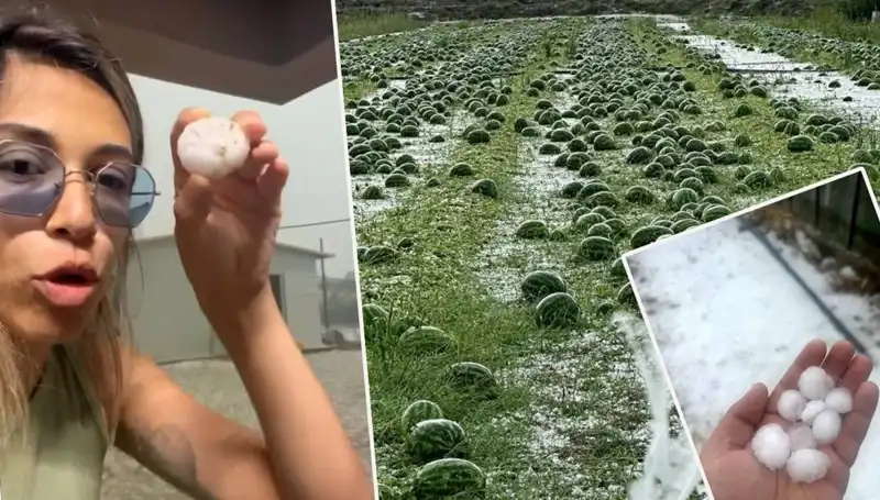 Antalya'da Felaket: Dolu ve Hortum Hayatı Olumsuz Etkiledi