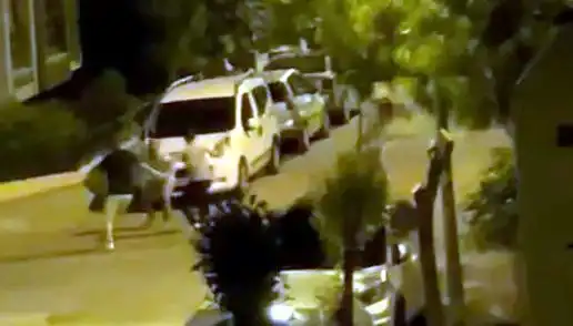 Avcılar’da 3 Kişinin Saldırdığı Vatandaş, Çevredekilerin Cesaretiyle Kurtarıldı