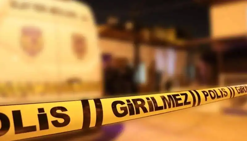 Diyarbakır'da Kayınpederin Dehşete Düşüren Olayı: Korkunç Sonuçlar Ortaya Çıktı