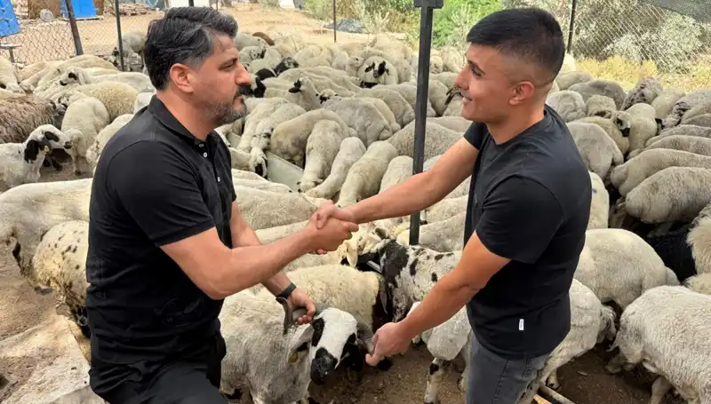 Kurbanlık Alışverişinde Tuz ve Sumak Tehlikesine Dikkat!