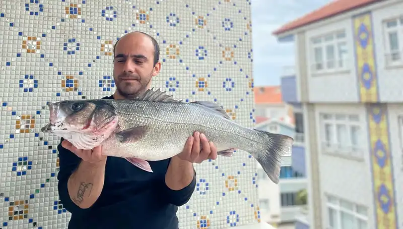7,5 Kiloluk Dev Levrek Avı: Balıkçıların Gözdesi Oldu