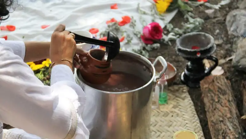 Ayahuasca: Gizemli Şifa Ritüeli Nedir, Yasal Durumu Ne?