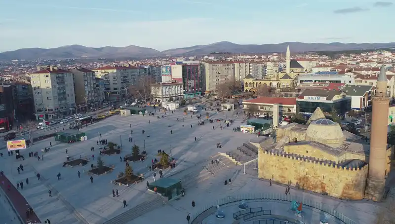 Kırşehir'de Keşfedilen Yeni Böcek Türü Bilim Dünyasını Sarsıyor!