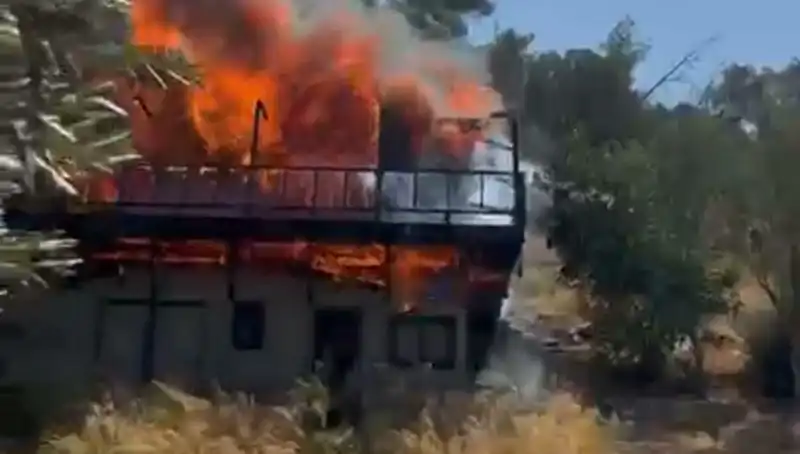 Bodrum'da Yangın Alaramı: Ekipler Hızla Müdahale Etti!