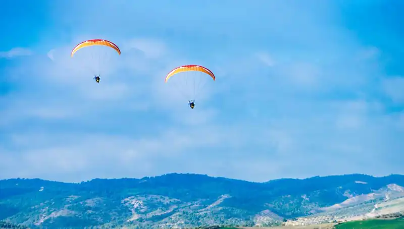 ABD'de Polonya Askeri, Paraşüt Eğitimi Sırasında Hayatını Kaybetti