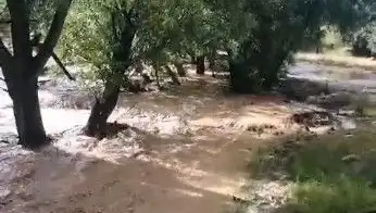 Mersin'de Yağmurlar Sele Dönüştü: Şehirdeki Son Durum ve Etkileri