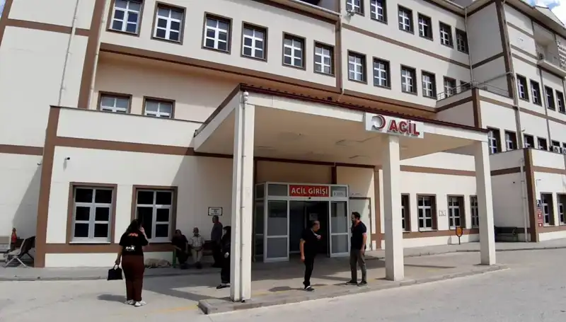 Bolu'da Ayı Avı Kararı: Doğanın Dengesini Korumak İçin Yeni Adım