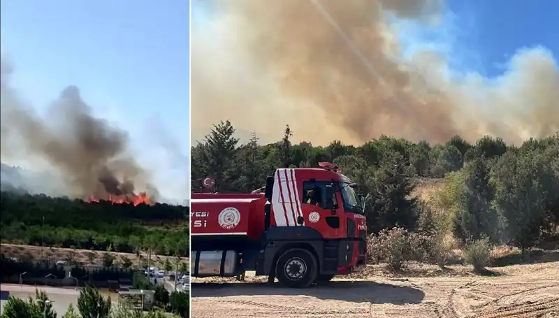 Gebze'de Korkutan Orman Yangını: Yangın Söndürme Çalışmaları Sürüyor