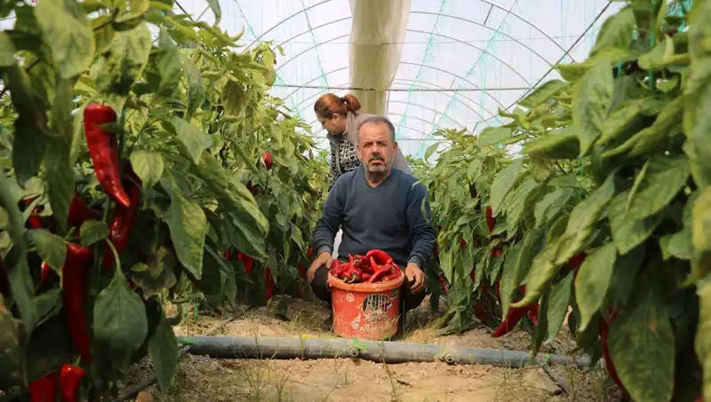 Fiyatı 50 Lira Olan Ürün, Şimdi 80 TL'den Satılıyor: Tüketiciyi Şaşırttı!