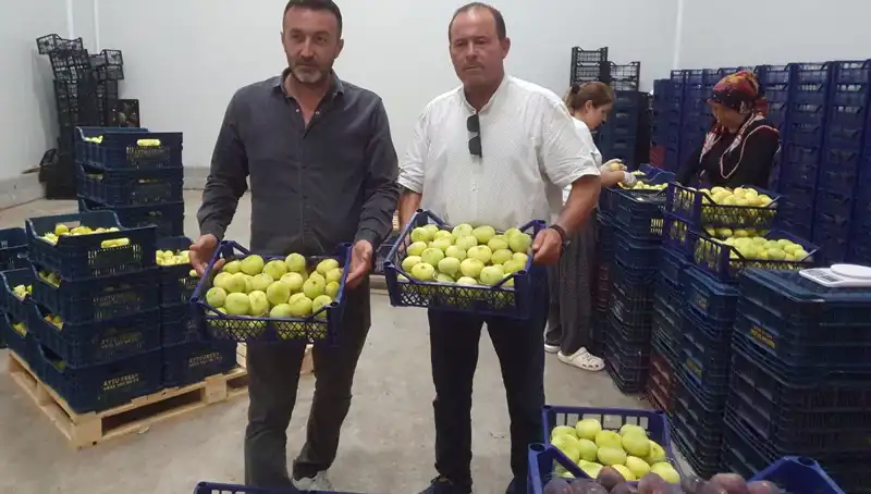 Mersinli Çiftçilerin Yüzü Gülüyor: İhraç Edilen Ürünler 20 TL!