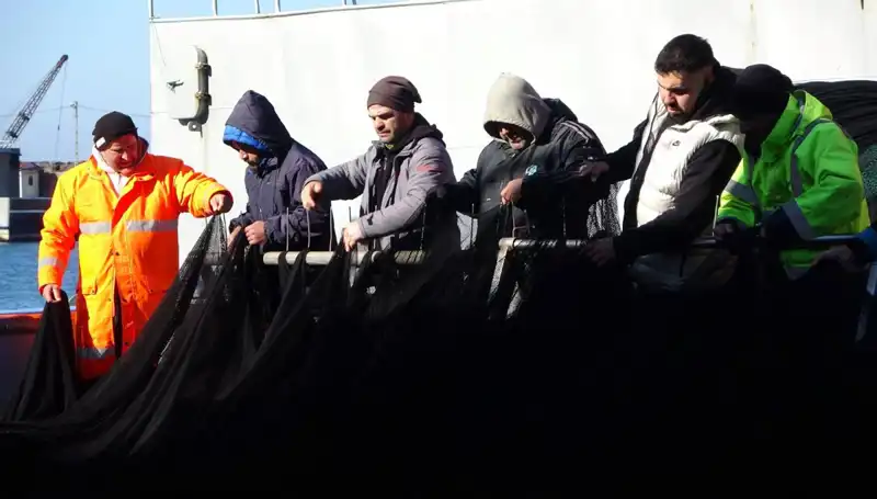 Hamsi Avında Şok Gelişme: Tekneler Neden Erken Dönüş Yaptı?