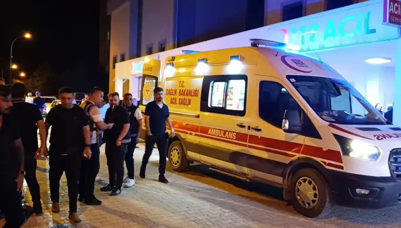 Kardeşinin Kavgasını Ayırmaya Çalıştı, Hayatını Kaybetti