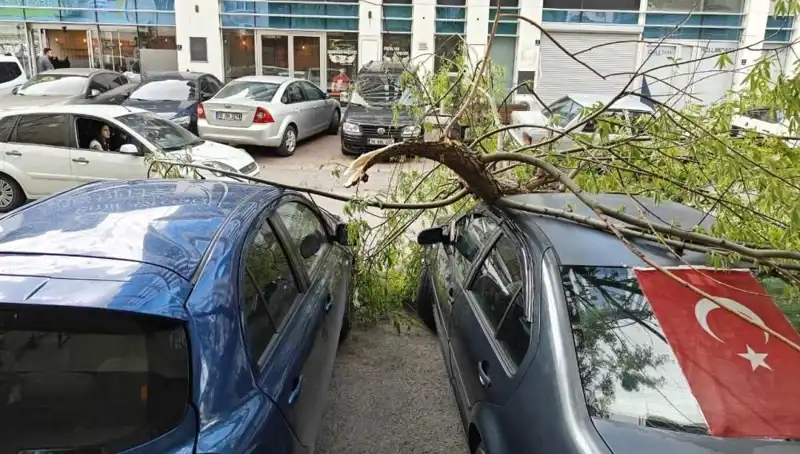 Kayseri'de Dalları Kıran Fırtına Halkı Panik İçinde Bıraktı