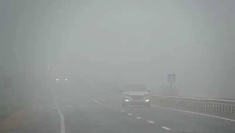 Tekirdağ'da Felaket Gibi Yoğun Sis Hayatı Olumsuz Etkiliyor