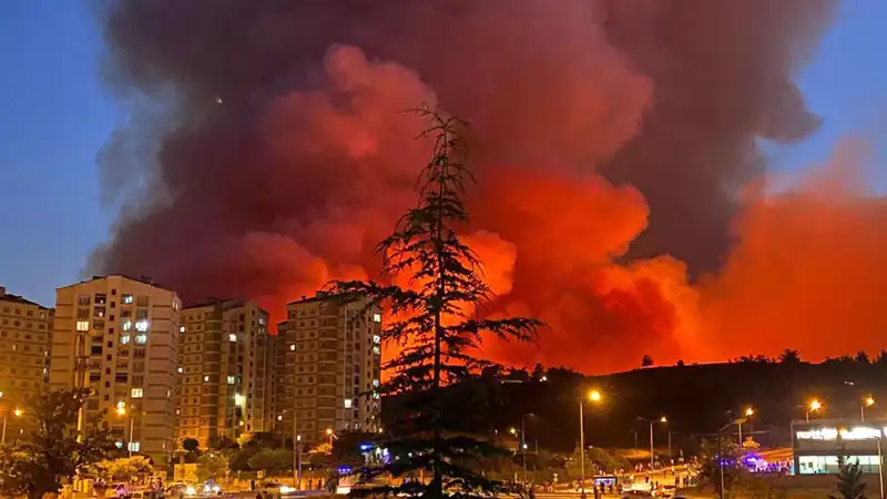 Bursa'da Yangın Alarmları: Şehir Neden Küller İçinde Kaldı?