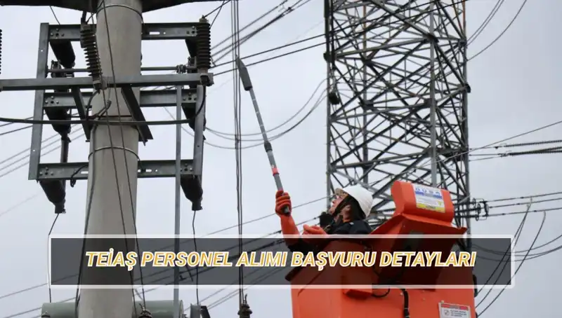 TEİAŞ Personel Alımı: Başvuru Tarihleri ve Şartlar Neler?